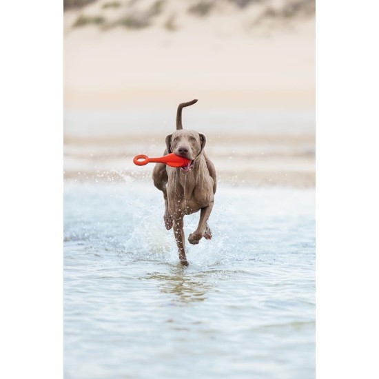 Beeztees Fliegende Boje, Hundespielzeug, TPR, Rot, 28x13x8 cm Beeztees Fliegende Boje, Hundespielzeug, TPR, Rot, 28x13x8 cm