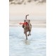 Beeztees Flying Buoy, Dog Toy, TPR, Red, 28 x 13 x 8 cm Beeztees Flying Buoy, Dog Toy, TPR, Red, 28 x 13 x 8 cm