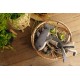 Beeztees Minus One Lobster Dog Toy, Grey, 41 x 25 x 17 cm Beeztees Minus One Lobster Dog Toy, Grey, 41 x 25 x 17 cm