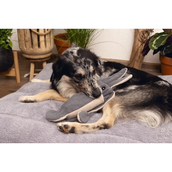 Beeztees Minus One Lobster Dog Toy, Grey, 41 x 25 x 17 cm Beeztees Minus One Lobster Dog Toy, Grey, 41 x 25 x 17 cm