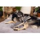 Beeztees Minus One Lobster Dog Toy, Grey, 41 x 25 x 17 cm Beeztees Minus One Lobster Dog Toy, Grey, 41 x 25 x 17 cm