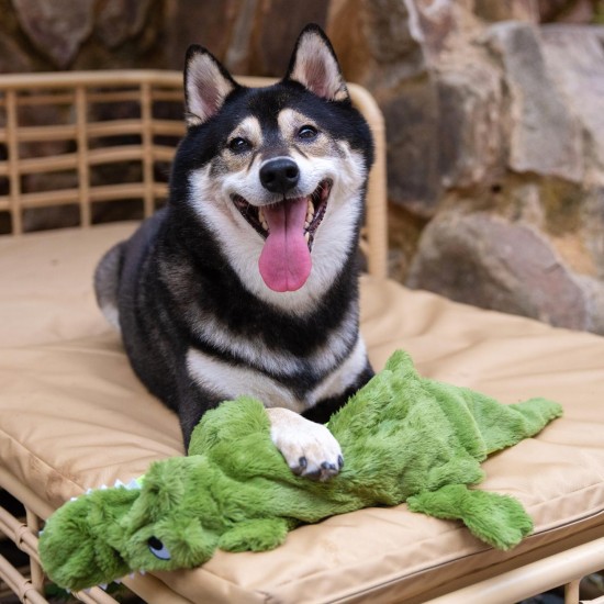 Best Pet Supplies 2-in-1 Squeaky Dog Toy with Soft, Durable Fabric for Small, Medium and Large Pets - No Filling for Playing Around the House, 4 Figures, Size S Best Pet Supplies 2-in-1 Squeaky Dog Toy with Soft, Durable Fabric for Small, Medium and Large Pets - No Filling for Playing Around the House, 4 Figures, Size S