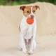 Best Pet Supplies Chicken Crinkle Plush Dog Toys for Interactive Play, Puppy and Senior Game, Colorful Chicken Toy, Cute and Cuddly Crinkle Chicken (Blue) Best Pet Supplies Chicken Crinkle Plush Dog Toys for Interactive Play, Puppy and Senior Game, Colorful Chicken Toy, Cute and Cuddly Crinkle Chicken (Blue)