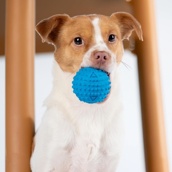 Best Pet Supplies Chicken Crinkle Plush Dog Toys for Interactive Play, Puppy and Senior Game, Colorful Chicken Toy, Cute and Cuddly Crinkle Chicken (Blue) Best Pet Supplies Chicken Crinkle Plush Dog Toys for Interactive Play, Puppy and Senior Game, Colorful Chicken Toy, Cute and Cuddly Crinkle Chicken (Blue)