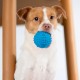 Best Pet Supplies Chicken Crinkle Plush Dog Toys for Interactive Play, Puppy and Senior Game, Colorful Chicken Toy, Cute and Cuddly Crinkle Chicken (Blue) Best Pet Supplies Chicken Crinkle Plush Dog Toys for Interactive Play, Puppy and Senior Game, Colorful Chicken Toy, Cute and Cuddly Crinkle Chicken (Blue)