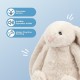 Best Pet Supplies Chicken Crinkle Plush Dog Toys for Interactive Play, Puppy and Senior Game, Colorful Chicken Toy, Cute and Cuddly Crinkle Chicken (Blue) Best Pet Supplies Chicken Crinkle Plush Dog Toys for Interactive Play, Puppy and Senior Game, Colorful Chicken Toy, Cute and Cuddly Crinkle Chicken (Blue)