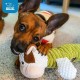 Best Pet Supplies Chicken Crinkle Plush Dog Toys for Interactive Play, Puppy and Senior Game, Colorful Chicken Toy, Cute and Cuddly Crinkle Chicken (Blue) Best Pet Supplies Chicken Crinkle Plush Dog Toys for Interactive Play, Puppy and Senior Game, Colorful Chicken Toy, Cute and Cuddly Crinkle Chicken (Blue)