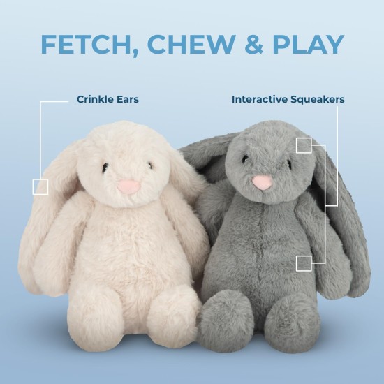 Best Pet Supplies Chicken Crinkle Plush Dog Toys for Interactive Play, Puppy and Senior Game, Colorful Chicken Toy, Cute and Cuddly Crinkle Chicken (Blue) Best Pet Supplies Chicken Crinkle Plush Dog Toys for Interactive Play, Puppy and Senior Game, Colorful Chicken Toy, Cute and Cuddly Crinkle Chicken (Blue)