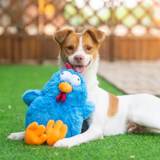 Best Pet Supplies Chicken Crinkle Plush Dog Toys for Interactive Play, Puppy and Senior Game, Colorful Chicken Toy, Cute and Cuddly Crinkle Chicken (Blue) Best Pet Supplies Chicken Crinkle Plush Dog Toys for Interactive Play, Puppy and Senior Game, Colorful Chicken Toy, Cute and Cuddly Crinkle Chicken (Blue)