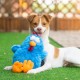 Best Pet Supplies Chicken Crinkle Plush Dog Toys for Interactive Play, Puppy and Senior Game, Colorful Chicken Toy, Cute and Cuddly Crinkle Chicken (Blue) Best Pet Supplies Chicken Crinkle Plush Dog Toys for Interactive Play, Puppy and Senior Game, Colorful Chicken Toy, Cute and Cuddly Crinkle Chicken (Blue)