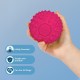 Best Pet Supplies Chicken Crinkle Plush Dog Toys for Interactive Play, Puppy and Senior Game, Colorful Chicken Toy, Cute and Cuddly Crinkle Chicken (Blue) Best Pet Supplies Chicken Crinkle Plush Dog Toys for Interactive Play, Puppy and Senior Game, Colorful Chicken Toy, Cute and Cuddly Crinkle Chicken (Blue)
