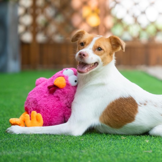 Best Pet Supplies Chicken Crinkle Plush Dog Toys for Interactive Play, Puppy and Senior Game, Colorful Chicken Toy, Cute and Cuddly Crinkle Chicken (Blue) Best Pet Supplies Chicken Crinkle Plush Dog Toys for Interactive Play, Puppy and Senior Game, Colorful Chicken Toy, Cute and Cuddly Crinkle Chicken (Blue)