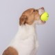 Best Pet Supplies Chicken Crinkle Plush Dog Toys for Interactive Play, Puppy and Senior Game, Colorful Chicken Toy, Cute and Cuddly Crinkle Chicken (Blue) Best Pet Supplies Chicken Crinkle Plush Dog Toys for Interactive Play, Puppy and Senior Game, Colorful Chicken Toy, Cute and Cuddly Crinkle Chicken (Blue)