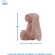 Best Pet Supplies Chicken Crinkle Plush Dog Toys for Interactive Play, Puppy and Senior Game, Colorful Chicken Toy, Cute and Cuddly Crinkle Chicken (Blue) Best Pet Supplies Chicken Crinkle Plush Dog Toys for Interactive Play, Puppy and Senior Game, Colorful Chicken Toy, Cute and Cuddly Crinkle Chicken (Blue)