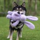 Best Pet Supplies Chicken Crinkle Plush Dog Toys for Interactive Play, Puppy and Senior Game, Colorful Chicken Toy, Cute and Cuddly Crinkle Chicken (Blue) Best Pet Supplies Chicken Crinkle Plush Dog Toys for Interactive Play, Puppy and Senior Game, Colorful Chicken Toy, Cute and Cuddly Crinkle Chicken (Blue)