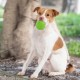 Best Pet Supplies Chicken Crinkle Plush Dog Toys for Interactive Play, Puppy and Senior Game, Colorful Chicken Toy, Cute and Cuddly Crinkle Chicken (Blue) Best Pet Supplies Chicken Crinkle Plush Dog Toys for Interactive Play, Puppy and Senior Game, Colorful Chicken Toy, Cute and Cuddly Crinkle Chicken (Blue)