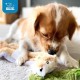 Best Pet Supplies Chicken Crinkle Plush Dog Toys for Interactive Play, Puppy and Senior Game, Colorful Chicken Toy, Cute and Cuddly Crinkle Chicken (Blue) Best Pet Supplies Chicken Crinkle Plush Dog Toys for Interactive Play, Puppy and Senior Game, Colorful Chicken Toy, Cute and Cuddly Crinkle Chicken (Blue)