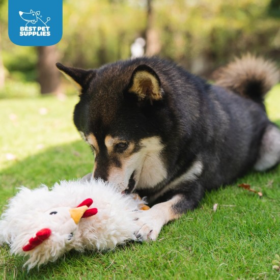 Best Pet Supplies Interactive Mallard Mates Dog Toy with Crinkle and Squeaky Enrichment for Small and Medium Breeds, Cute and Plush Mallard Duck Wings Set (Grey, Grey Best Pet Supplies Interactive Mallard Mates Dog Toy with Crinkle and Squeaky Enrichment for Small and Medium Breeds, Cute and Plush Mallard Duck Wings Set (Grey, Grey