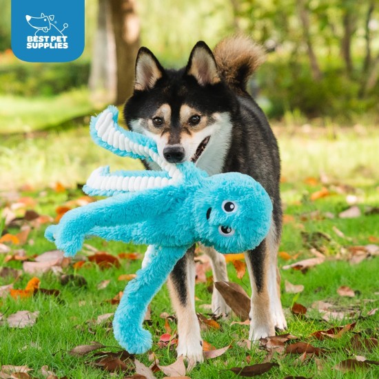 Best Pet Supplies Interactive Mallard Mates Dog Toy with Crinkle and Squeaky Enrichment for Small and Medium Breeds, Cute and Plush Mallard Duck Wings Set (Grey, Grey Best Pet Supplies Interactive Mallard Mates Dog Toy with Crinkle and Squeaky Enrichment for Small and Medium Breeds, Cute and Plush Mallard Duck Wings Set (Grey, Grey