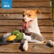 Best Pet Supplies Interactive Mallard Mates Dog Toy with Crinkle and Squeaky Enrichment for Small and Medium Breeds, Cute and Plush Mallard Duck Wings Set (Grey, Grey Best Pet Supplies Interactive Mallard Mates Dog Toy with Crinkle and Squeaky Enrichment for Small and Medium Breeds, Cute and Plush Mallard Duck Wings Set (Grey, Grey