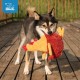 Best Pet Supplies OctoMutant Crinkle Plush Dog Toy for Interactive Play for Puppies and Seniors, Colourful Octopus Toy Shape, Soft Head Stuffing, Cute and Cuddly, Turquoise Best Pet Supplies OctoMutant Crinkle Plush Dog Toy for Interactive Play for Puppies and Seniors, Colourful Octopus Toy Shape, Soft Head Stuffing, Cute and Cuddly, Turquoise