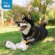 Best Pet Supplies OctoMutant Crinkle Plush Dog Toy for Interactive Play for Puppies and Seniors, Colourful Octopus Toy Shape, Soft Head Stuffing, Cute and Cuddly, Turquoise Best Pet Supplies OctoMutant Crinkle Plush Dog Toy for Interactive Play for Puppies and Seniors, Colourful Octopus Toy Shape, Soft Head Stuffing, Cute and Cuddly, Turquoise