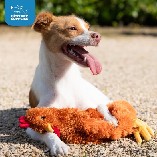 Best Pet Supplies OctoMutant Crinkle Plush Dog Toy for Interactive Play for Puppies and Seniors, Colourful Octopus Toy Shape, Soft Head Stuffing, Cute and Cuddly, Turquoise Best Pet Supplies OctoMutant Crinkle Plush Dog Toy for Interactive Play for Puppies and Seniors, Colourful Octopus Toy Shape, Soft Head Stuffing, Cute and Cuddly, Turquoise