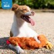 Best Pet Supplies OctoMutant Crinkle Plush Dog Toy for Interactive Play for Puppies and Seniors, Colourful Octopus Toy Shape, Soft Head Stuffing, Cute and Cuddly, Turquoise Best Pet Supplies OctoMutant Crinkle Plush Dog Toy for Interactive Play for Puppies and Seniors, Colourful Octopus Toy Shape, Soft Head Stuffing, Cute and Cuddly, Turquoise