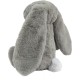 Best Pet Supplies OctoMutant Crinkle Plush Dog Toy for Interactive Play for Puppies and Seniors, Colourful Octopus Toy Shape, Soft Head Stuffing, Cute and Cuddly, Turquoise Best Pet Supplies OctoMutant Crinkle Plush Dog Toy for Interactive Play for Puppies and Seniors, Colourful Octopus Toy Shape, Soft Head Stuffing, Cute and Cuddly, Turquoise