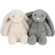 Best Pet Supplies OctoMutant Crinkle Plush Dog Toy for Interactive Play for Puppies and Seniors, Colourful Octopus Toy Shape, Soft Head Stuffing, Cute and Cuddly, Turquoise Best Pet Supplies OctoMutant Crinkle Plush Dog Toy for Interactive Play for Puppies and Seniors, Colourful Octopus Toy Shape, Soft Head Stuffing, Cute and Cuddly, Turquoise