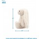Best Pet Supplies OctoMutant Crinkle Plush Dog Toy for Interactive Play for Puppies and Seniors, Colourful Octopus Toy Shape, Soft Head Stuffing, Cute and Cuddly, Turquoise Best Pet Supplies OctoMutant Crinkle Plush Dog Toy for Interactive Play for Puppies and Seniors, Colourful Octopus Toy Shape, Soft Head Stuffing, Cute and Cuddly, Turquoise
