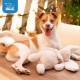 Best Pet Supplies OctoMutant Crinkle Plush Dog Toy for Interactive Play for Puppies and Seniors, Colourful Octopus Toy Shape, Soft Head Stuffing, Cute and Cuddly, Turquoise Best Pet Supplies OctoMutant Crinkle Plush Dog Toy for Interactive Play for Puppies and Seniors, Colourful Octopus Toy Shape, Soft Head Stuffing, Cute and Cuddly, Turquoise