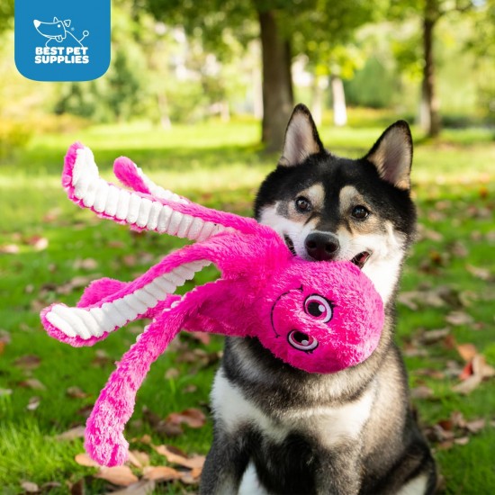 Best Pet Supplies OctoMutant Crinkle Plush Dog Toy for Interactive Play for Puppies and Seniors, Colourful Octopus Toy Shape, Soft Head Stuffing, Cute and Cuddly, Turquoise Best Pet Supplies OctoMutant Crinkle Plush Dog Toy for Interactive Play for Puppies and Seniors, Colourful Octopus Toy Shape, Soft Head Stuffing, Cute and Cuddly, Turquoise