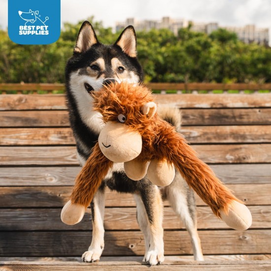 Best Pet Supplies OctoMutant Crinkle Plush Dog Toy for Interactive Play for Puppies and Seniors, Colourful Octopus Toy Shape, Soft Head Stuffing, Cute and Cuddly, Turquoise Best Pet Supplies OctoMutant Crinkle Plush Dog Toy for Interactive Play for Puppies and Seniors, Colourful Octopus Toy Shape, Soft Head Stuffing, Cute and Cuddly, Turquoise