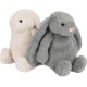 Best Pet Supplies OctoMutant Crinkle Plush Dog Toys for Interactive Play for Puppies and Seniors Indoor Play Soft Head Stuffing Cute and Cuddly - Bundle (Fuchsia, Purple, Turquoise) Best Pet Supplies OctoMutant Crinkle Plush Dog Toys for Interactive Play for Puppies and Seniors Indoor Play Soft Head Stuffing Cute and Cuddly - Bundle (Fuchsia, Purple, Turquoise)