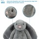 Best Pet Supplies OctoMutant Crinkle Plush Dog Toys for Interactive Play for Puppies and Seniors Indoor Play Soft Head Stuffing Cute and Cuddly - Bundle (Fuchsia, Purple, Turquoise) Best Pet Supplies OctoMutant Crinkle Plush Dog Toys for Interactive Play for Puppies and Seniors Indoor Play Soft Head Stuffing Cute and Cuddly - Bundle (Fuchsia, Purple, Turquoise)