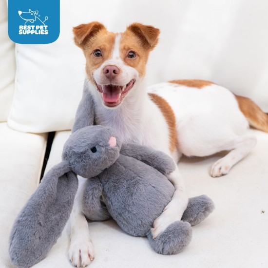 Best Pet Supplies OctoMutant Crinkle Plush Dog Toys for Interactive Play for Puppies and Seniors Indoor Play Soft Head Stuffing Cute and Cuddly - Bundle (Fuchsia, Purple, Turquoise) Best Pet Supplies OctoMutant Crinkle Plush Dog Toys for Interactive Play for Puppies and Seniors Indoor Play Soft Head Stuffing Cute and Cuddly - Bundle (Fuchsia, Purple, Turquoise)