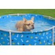 Bestway Frame Pool Paw for Pets, Diameter 122 x 30.5 cm, 292 L, 3-Layer TriTech Material, Corrosion Protection, Non-Stick Coating, Playful Design, Easy Assembly, Drain Valve, Repair Patch Bestway Frame Pool Paw for Pets, Diameter 122 x 30.5 cm, 292 L, 3-Layer TriTech Material, Corrosion Protection, Non-Stick Coating, Playful Design, Easy Assembly, Drain Valve, Repair Patch