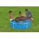 Bestway Frame Pool Paw for Pets, Diameter 122 x 30.5 cm, 292 L, 3-Layer TriTech Material, Corrosion Protection, Non-Stick Coating, Playful Design, Easy Assembly, Drain Valve, Repair Patch Bestway Frame Pool Paw for Pets, Diameter 122 x 30.5 cm, 292 L, 3-Layer TriTech Material, Corrosion Protection, Non-Stick Coating, Playful Design, Easy Assembly, Drain Valve, Repair Patch
