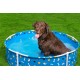 Bestway Frame Pool Paw for Pets, Diameter 122 x 30.5 cm, 292 L, 3-Layer TriTech Material, Corrosion Protection, Non-Stick Coating, Playful Design, Easy Assembly, Drain Valve, Repair Patch Bestway Frame Pool Paw for Pets, Diameter 122 x 30.5 cm, 292 L, 3-Layer TriTech Material, Corrosion Protection, Non-Stick Coating, Playful Design, Easy Assembly, Drain Valve, Repair Patch