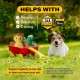 Bite Force Wildlife - Durable Plush Dog Toy - Dog Toy Made with Kevlar, Multi-layer and Reinforced Stitching Squeaker for Interactive Play. Ideal for Strong Chewers (Fox) Bite Force Wildlife - Durable Plush Dog Toy - Dog Toy Made with Kevlar, Multi-layer and Reinforced Stitching Squeaker for Interactive Play. Ideal for Strong Chewers (Fox)