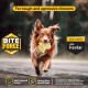 Bite Force Wildlife - Durable Plush Dog Toy - Dog Toy Made with Kevlar, Multi-layer and Reinforced Stitching Squeaker for Interactive Play. Ideal for Strong Chewers (Fox) Bite Force Wildlife - Durable Plush Dog Toy - Dog Toy Made with Kevlar, Multi-layer and Reinforced Stitching Squeaker for Interactive Play. Ideal for Strong Chewers (Fox)