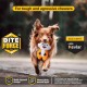 Bite Force Wildlife - Durable Plush Dog Toy - Dog Toy Made with Kevlar, Multi-layer and Reinforced Stitching Squeaker for Interactive Play. Ideal for Strong Chewers (Fox) Bite Force Wildlife - Durable Plush Dog Toy - Dog Toy Made with Kevlar, Multi-layer and Reinforced Stitching Squeaker for Interactive Play. Ideal for Strong Chewers (Fox)