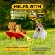 Bite Force Wildlife - Durable Plush Dog Toy - Dog Toy Made with Kevlar, Multi-layer and Reinforced Stitching Squeaker for Interactive Play. Ideal for Strong Chewers (Fox) Bite Force Wildlife - Durable Plush Dog Toy - Dog Toy Made with Kevlar, Multi-layer and Reinforced Stitching Squeaker for Interactive Play. Ideal for Strong Chewers (Fox)