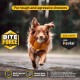 Bite Force Wildlife - Durable Plush Dog Toy - Dog Toy Made with Kevlar, Multi-layer and Reinforced Stitching Squeaker for Interactive Play. Ideal for Strong Chewers (Fox) Bite Force Wildlife - Durable Plush Dog Toy - Dog Toy Made with Kevlar, Multi-layer and Reinforced Stitching Squeaker for Interactive Play. Ideal for Strong Chewers (Fox)