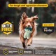 Bite Force Wildlife - Durable Plush Dog Toy - Dog Toy Made with Kevlar, Multi-layer and Reinforced Stitching Squeaker for Interactive Play. Ideal for Strong Chewers (Fox) Bite Force Wildlife - Durable Plush Dog Toy - Dog Toy Made with Kevlar, Multi-layer and Reinforced Stitching Squeaker for Interactive Play. Ideal for Strong Chewers (Fox)