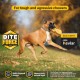 Bite Force Wildlife - Durable Plush Dog Toy - Dog Toy Made with Kevlar, Multi-layer and Reinforced Stitching Squeaker for Interactive Play. Ideal for Strong Chewers (Fox) Bite Force Wildlife - Durable Plush Dog Toy - Dog Toy Made with Kevlar, Multi-layer and Reinforced Stitching Squeaker for Interactive Play. Ideal for Strong Chewers (Fox)