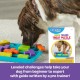 BrightKins Bark Brain Game Treat Puzzle, Interactive Toy for Dogs, Non-Slip Treat Dispenser, Dog Toy for Mental Stimulation and Slow Feeding, 1 Piece BrightKins Bark Brain Game Treat Puzzle, Interactive Toy for Dogs, Non-Slip Treat Dispenser, Dog Toy for Mental Stimulation and Slow Feeding, 1 Piece