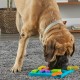 BrightKins Bark Brain Game Treat Puzzle, Interactive Toy for Dogs, Non-Slip Treat Dispenser, Dog Toy for Mental Stimulation and Slow Feeding, 1 Piece BrightKins Bark Brain Game Treat Puzzle, Interactive Toy for Dogs, Non-Slip Treat Dispenser, Dog Toy for Mental Stimulation and Slow Feeding, 1 Piece