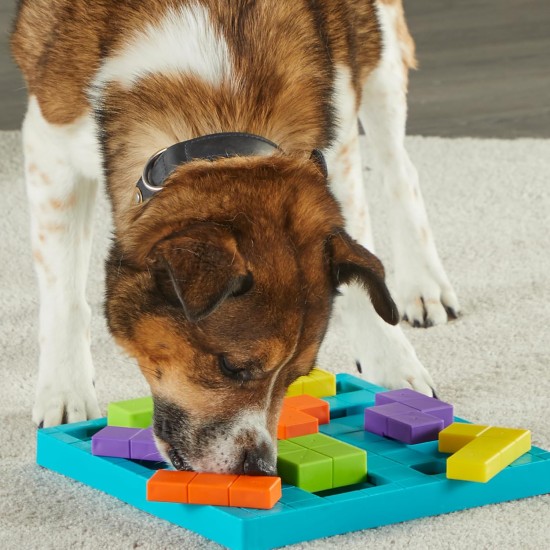 BrightKins Bark Brain Game Treat Puzzle, Interactive Toy for Dogs, Non-Slip Treat Dispenser, Dog Toy for Mental Stimulation and Slow Feeding, 1 Piece BrightKins Bark Brain Game Treat Puzzle, Interactive Toy for Dogs, Non-Slip Treat Dispenser, Dog Toy for Mental Stimulation and Slow Feeding, 1 Piece